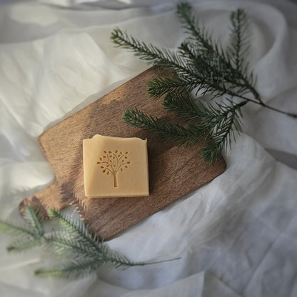 Spiked Orange Soap